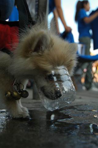 Aug8_04_507.JPG