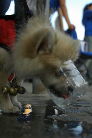 Aug8_04_509.JPG