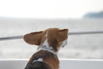 Murphy on the top deck
