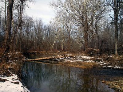 wCreek Walk3.JPG
