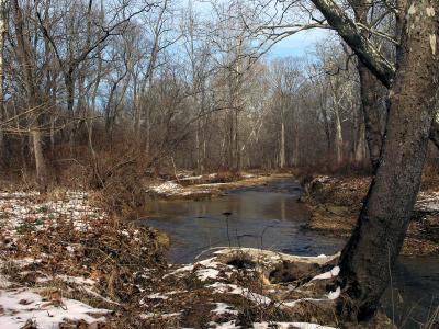 wCreek Walk4.jpg
