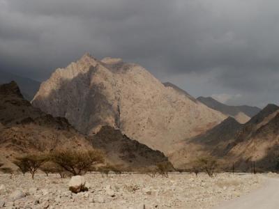 u38/bmcmorrow/medium/24722726.oman638.jpg
