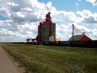 u38/bmcmorrow/medium/25036859.sk6.jpg