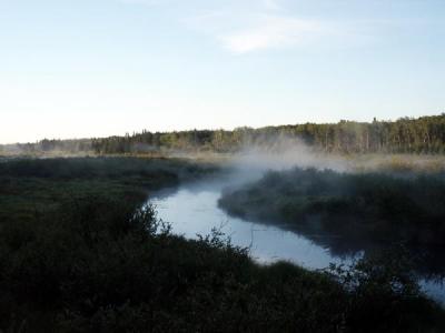 u38/bmcmorrow/medium/25036914.pa3.jpg