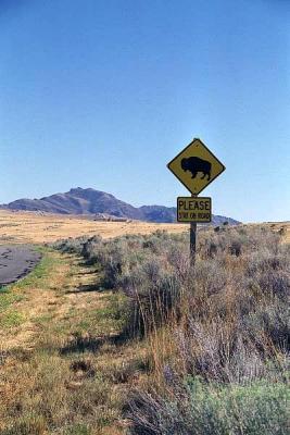Antelope Island, Utah
