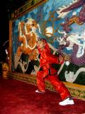 Martial Arts Performer, Chinese Pavilion