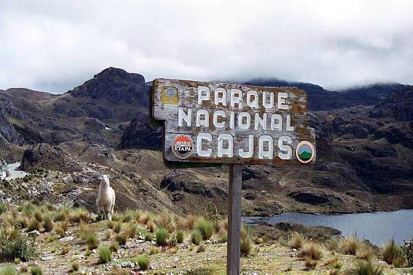 Cajas National Park, high in the Andes, elev 3150-4450m