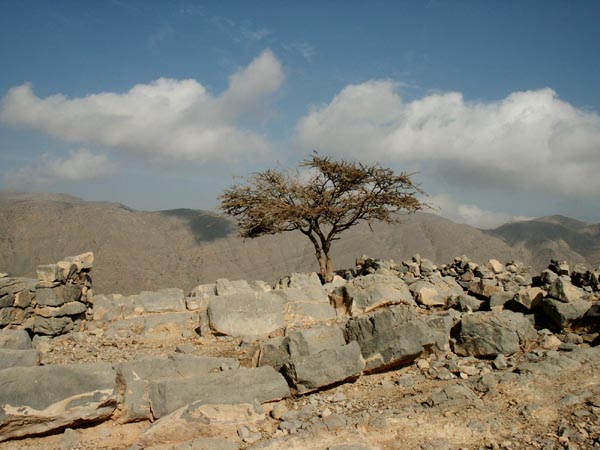 13th-14th Century ruins, Wadi Bih route, Oman