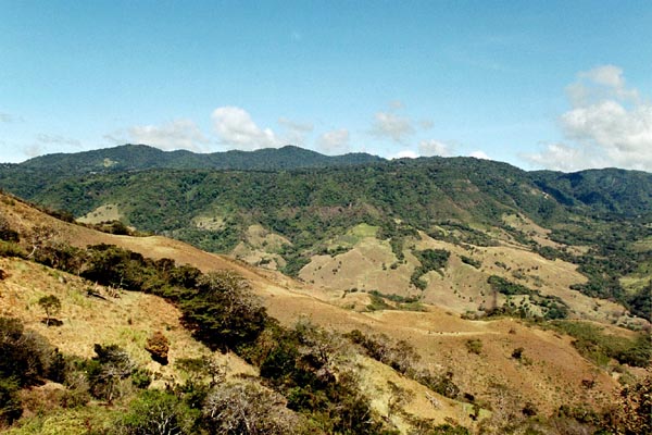 The Monteverde Cloud Forest sits on a ridge 4600 above the Pacific coast