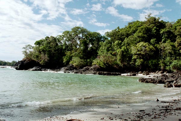 Beach, Manuel Antonio National Park