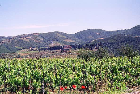 Tuscan countryside south of Florence