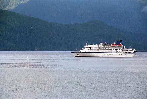 A small ship of Cruise West trailing Orca down Johnstone Strait