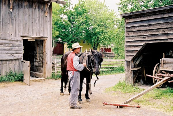 Horsepower is still used at historic Upper Canada Village