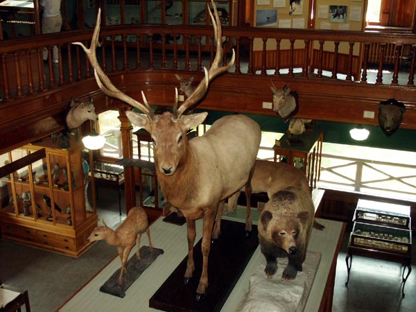 Museum, Banff National Park