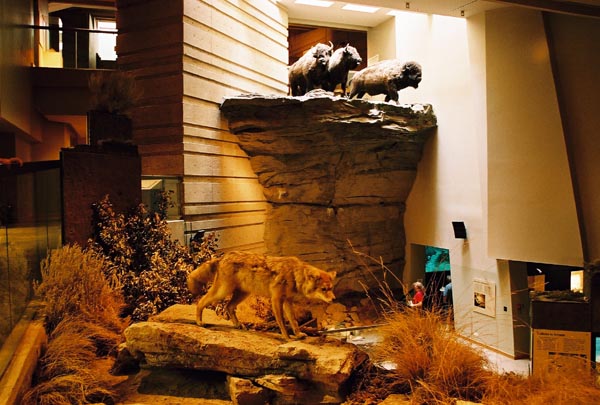 Head-Smashed-In Buffalo Jump Interpretive Centre