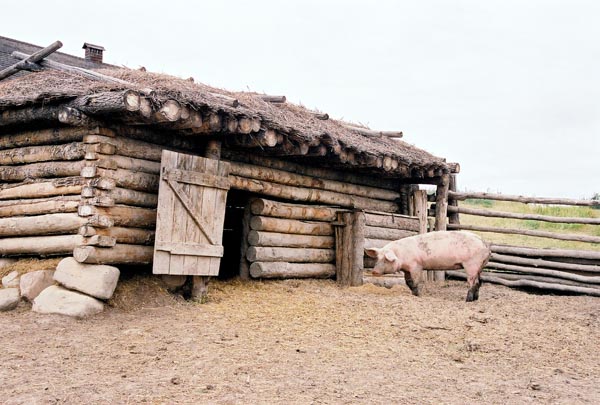 Pig Pen of the Slemko Barn