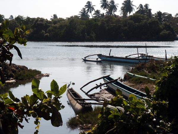 Outriggers on the lagoon, Negombo