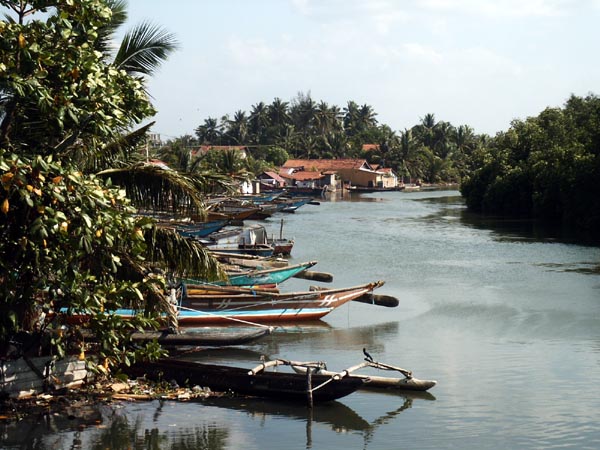 Negombo lagoon
