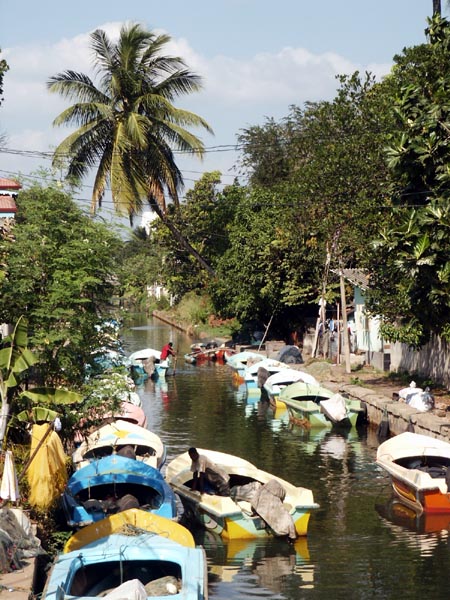 Dutch canal, Negombo