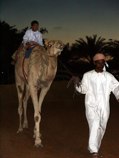 Camel Rides