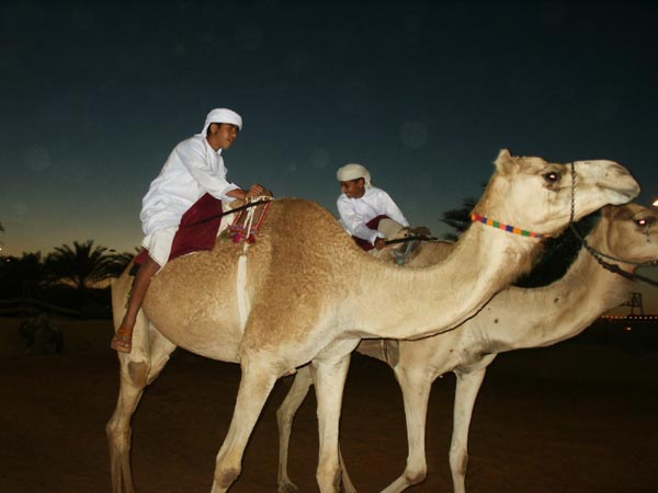 Bedouin Heritage Festival
