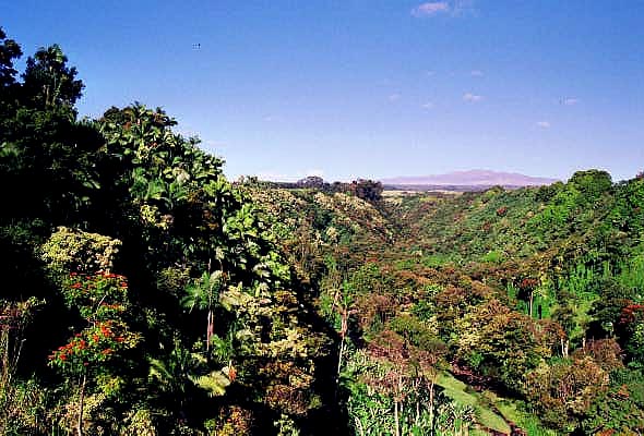 North Shore, Big Island