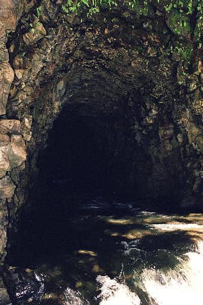 Stream emerging from an old lava tube, Hawaii