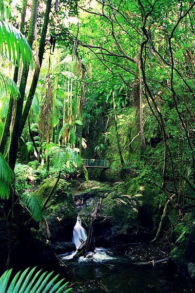 Hawaii Tropical Botanical Garden