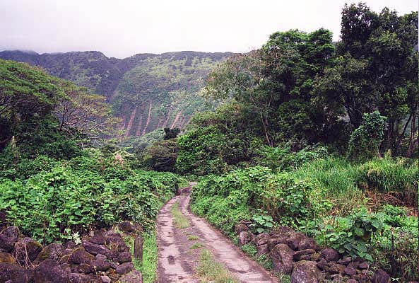 Road in Waipio Valley