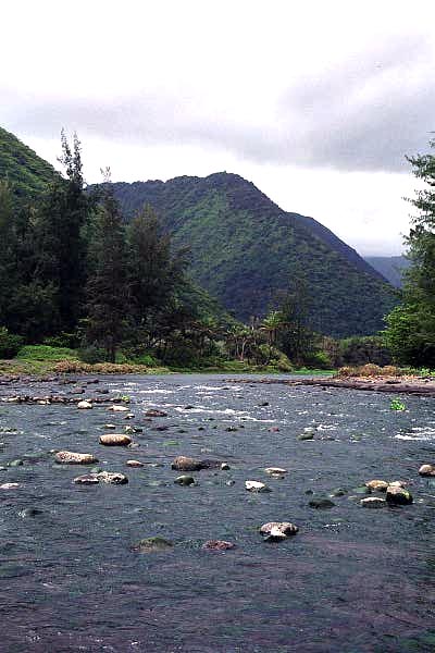 River in Waipio Valley