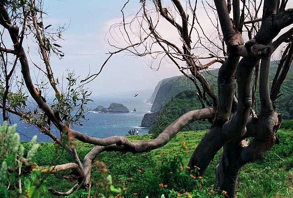 Near Pololu Valley