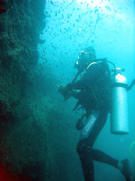 The divemaster on the King Cruiser