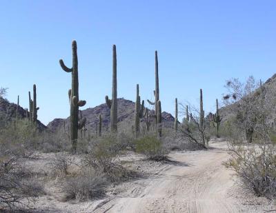 b1170034.jpg - End of the trail