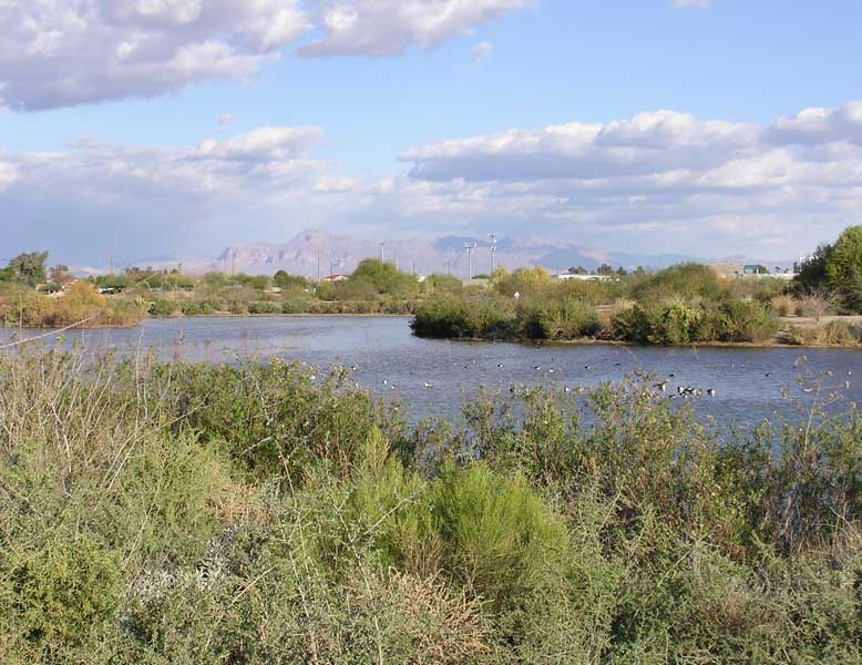 bC270011.jpg- Superstition Mtns View