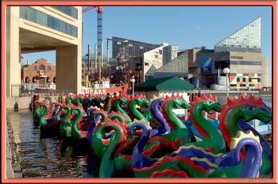 Dragon Boats - Baltimore Inner Harbor
