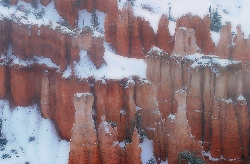 Bryce Canyon Fog #1