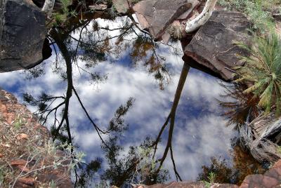 Garden of Eden at King's Canyon