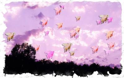 Flock of Flying Missouri Pigs