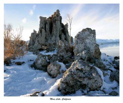 Tufa Tree