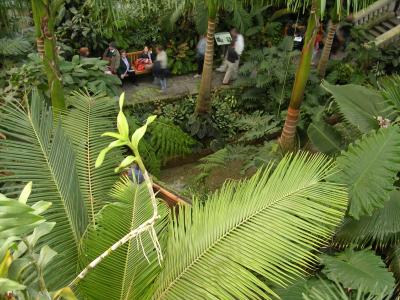 botanical_gardens