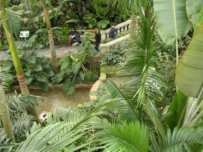 botanical_gardens2