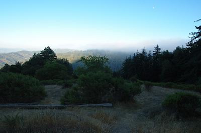 The Fog rolls in Mt. Madonna County Park