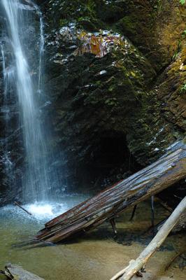 Berry Creek Falls (2)