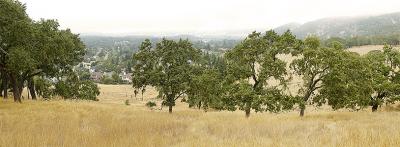 Annadel pano.jpg