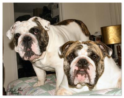 1. Z&Z The Boyz Are Back!