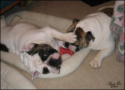 3. Z&Z Can I Help You?