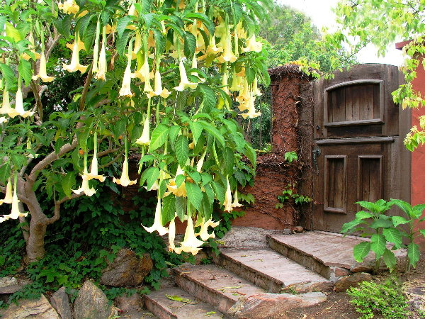 The Gate