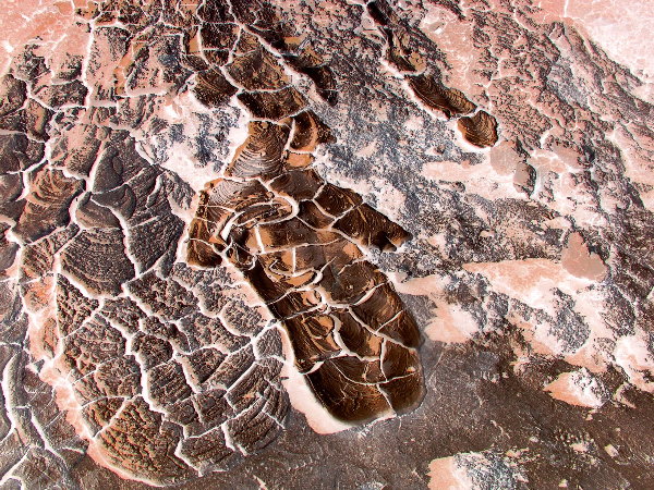 Mud Pots Torso