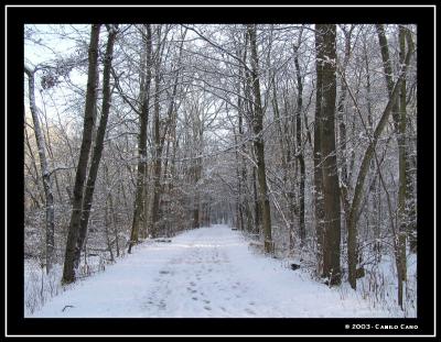 Snow Trail at Cascade Valley Park - Akron