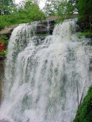 ...se siente la entrada del verano. Brandywine Falls.